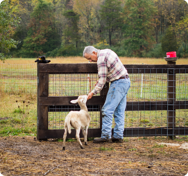 personal asset protection